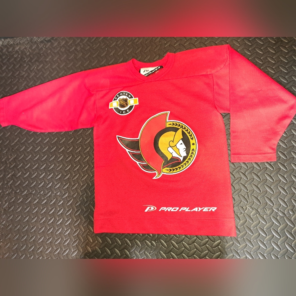 Vintage NHL Ottawa Senators Practice hockey jersey